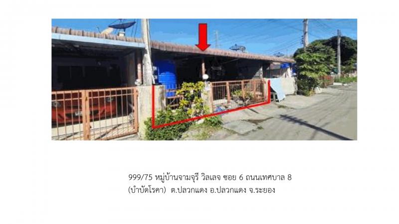 ปลวกแดง ปลวกแดง ระยอง