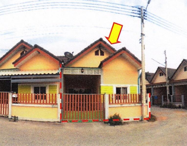ปลวกแดง ปลวกแดง ระยอง