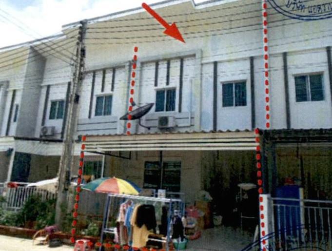 ปลวกแดง ปลวกแดง ระยอง