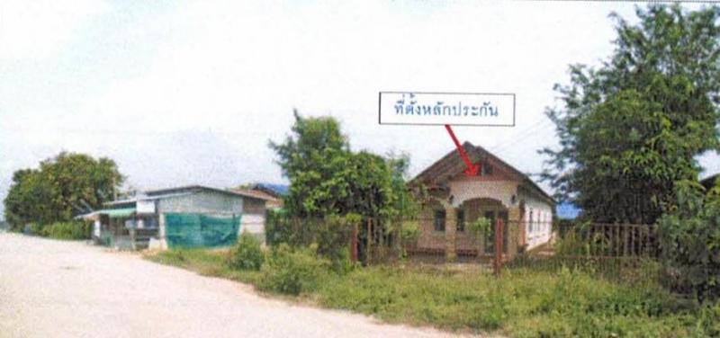 ปลวกแดง ปลวกแดง ระยอง