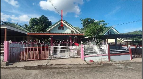 ปลวกแดง ปลวกแดง ระยอง