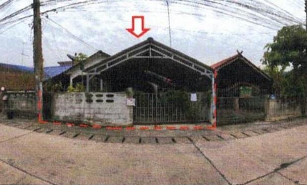 ปลวกแดง ปลวกแดง ระยอง