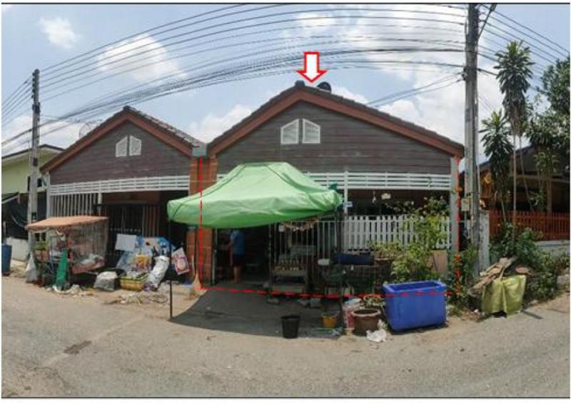 ปลวกแดง ปลวกแดง ระยอง