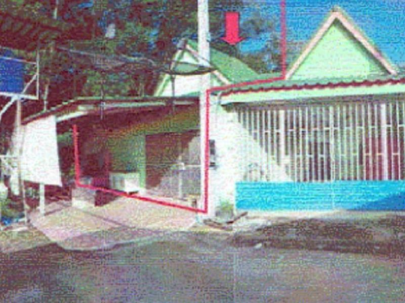 ปลวกแดง ปลวกแดง ระยอง