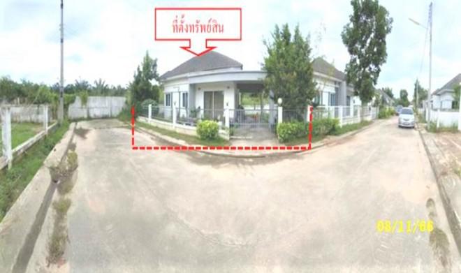 ปลวกแดง ปลวกแดง ระยอง