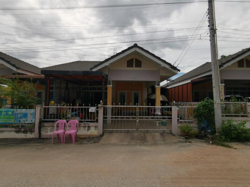 ปลวกแดง ปลวกแดง ระยอง